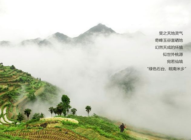 富硒茶啤酒河南(富硒茶啤酒在全国行业排第几)-硒宝网