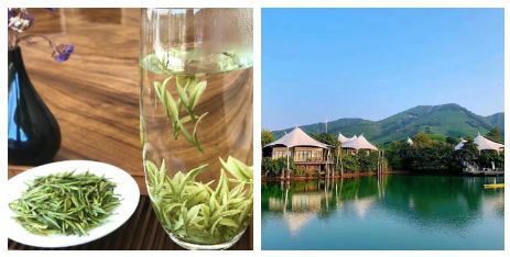 富硒茶啤酒河南(富硒茶啤酒在全国行业排第几)-硒宝网