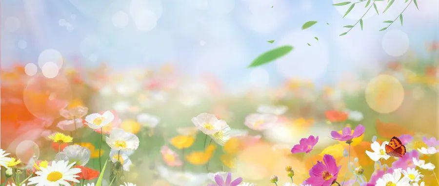 金华富硒玫瑰茶(金华玫瑰茶富硒怎么样)-硒宝网