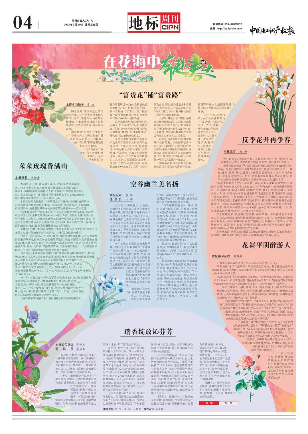 金华富硒玫瑰茶(金华玫瑰茶富硒怎么样)-硒宝网