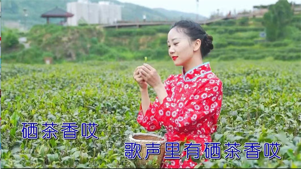 富硒茶宣传视频(富硒茶广告语大全)-硒宝网