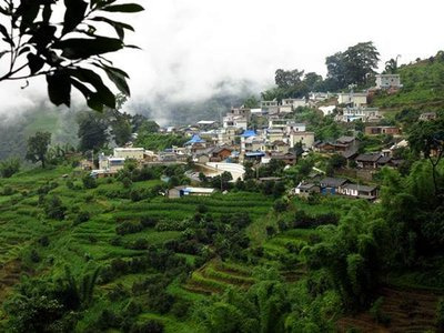 富硒茶传销骗局（富硒黑茶是传销吗）-硒宝网