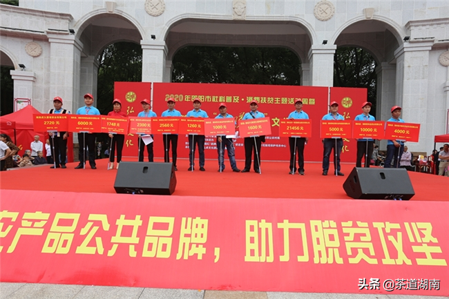 隆回有机富硒茶（富硒茶园）-硒宝网