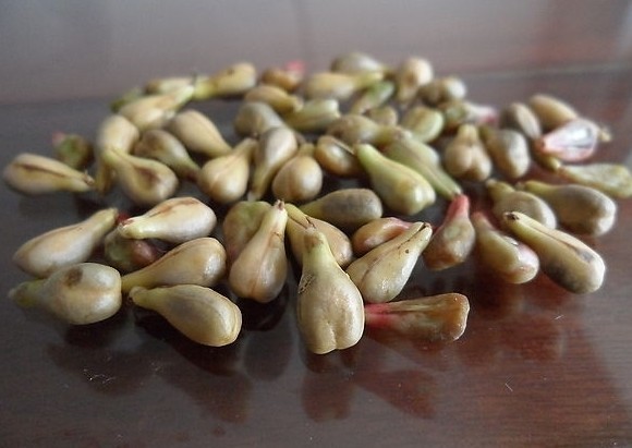 富硒茶喝了便秘（便秘喝茶富硒有用吗）-硒宝网