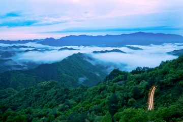 天方富硒有机茶(天然有机富硒茶)-硒宝网