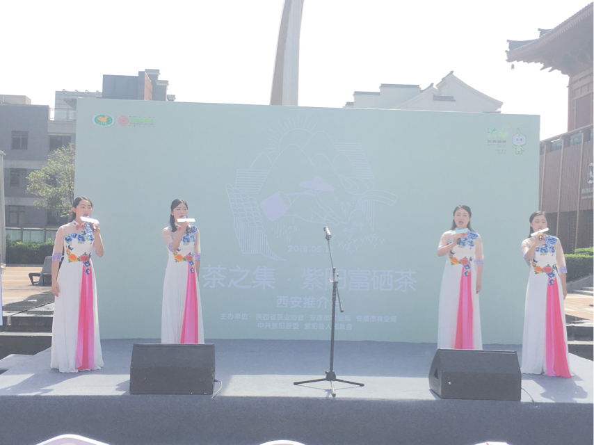 紫阳富硒茶美称(紫阳富硒茶品牌价值)-硒宝网