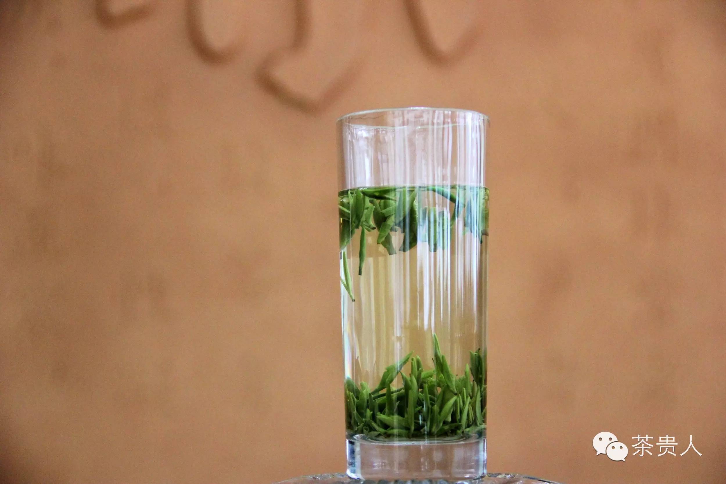 富硒茶紫阳毛尖（紫阳富硒毛尖的功效与作用）-硒宝网