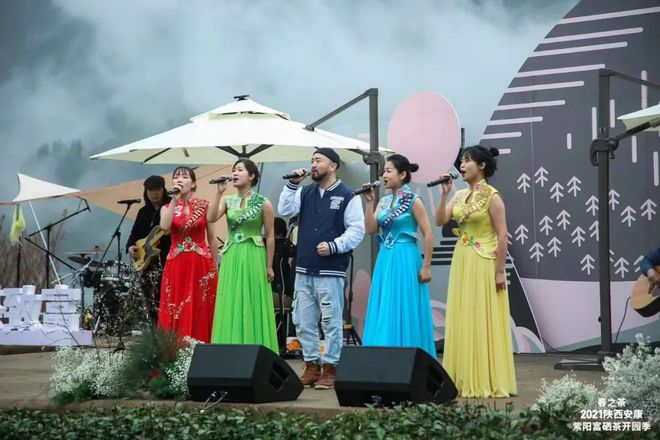 紫阳富硒茶美称(紫阳富硒茶文化)-硒宝网