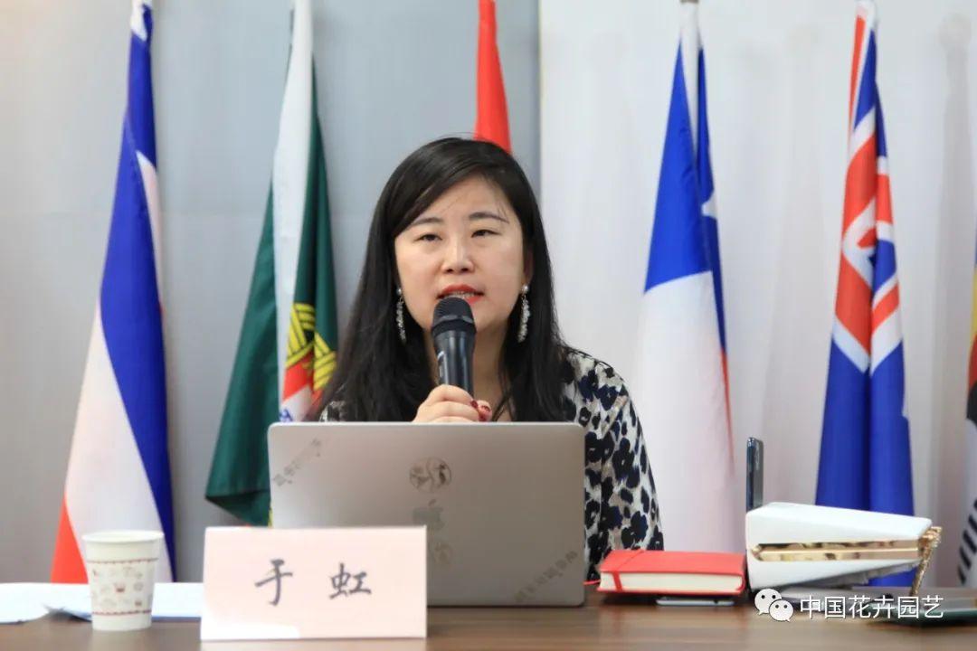 金华富硒玫瑰茶(金玫瑰茶叶)-硒宝网