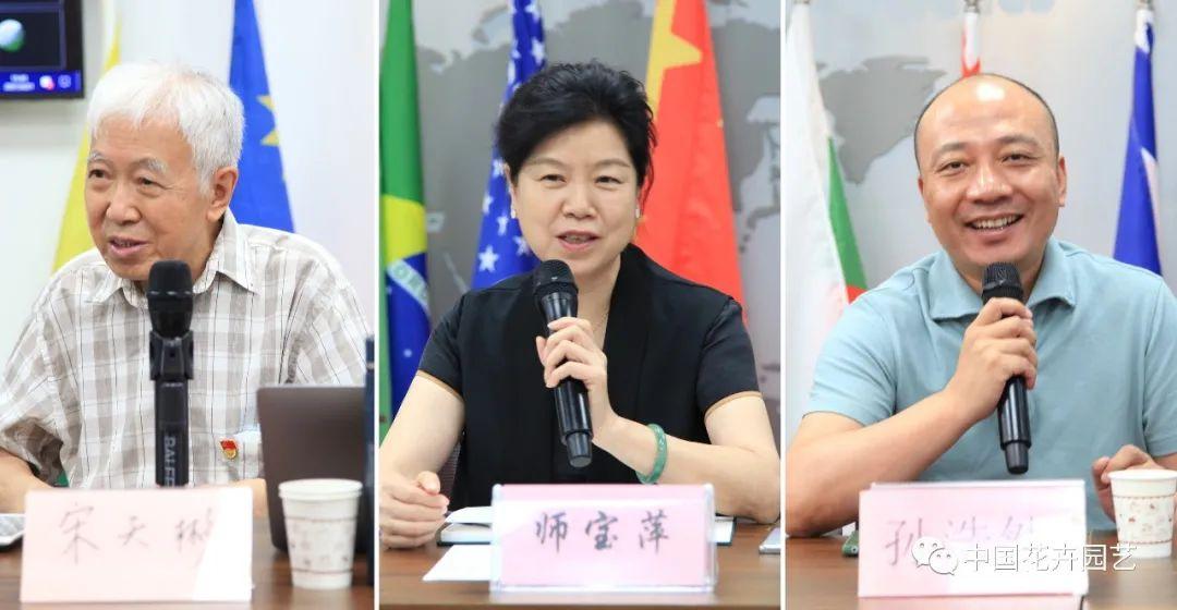 金华富硒玫瑰茶(金玫瑰茶叶)-硒宝网