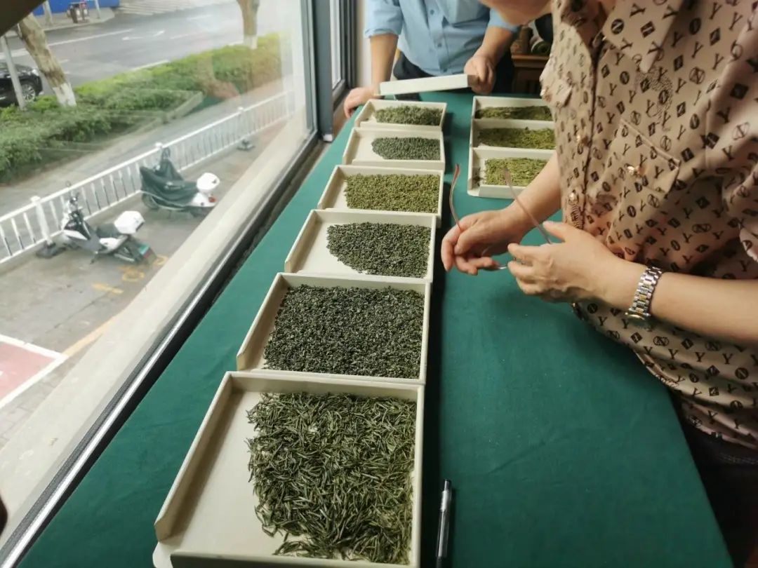 富硒茶怎样发展(富硒茶文化)-硒宝网