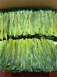 福建嫩芽富硒茶(福建茶苗)-硒宝网