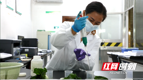 湖南富硒茶供应(供应湖南茶富硒的地方)-硒宝网