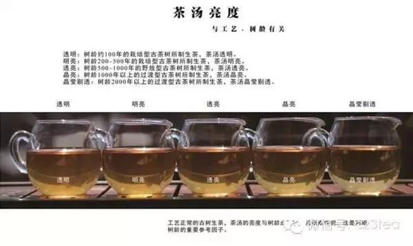 恩施富硒茶真假（恩施富硒茶叶多少钱一斤）-硒宝网