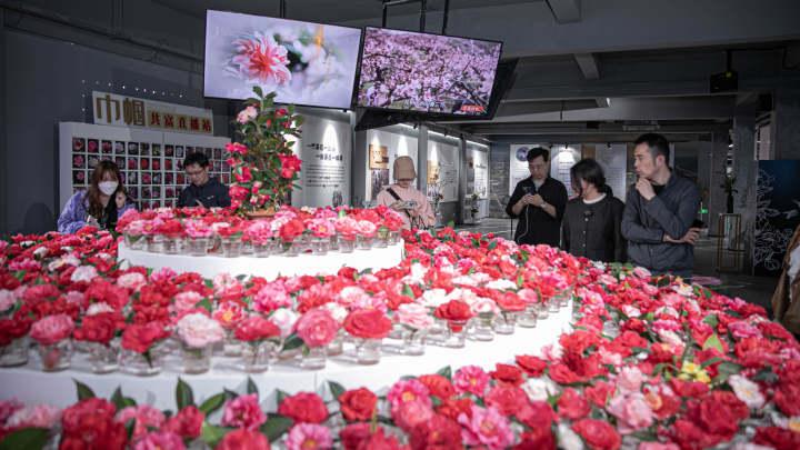 金华富硒玫瑰茶（富硒玫瑰茶的作用）-硒宝网