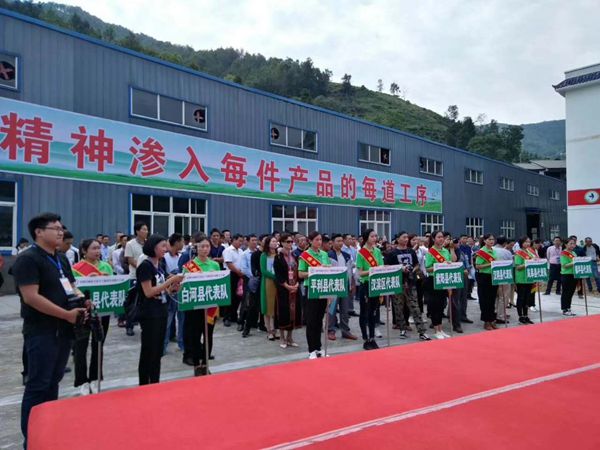 安康富硒茶大赛(安康富硒茶主要产自哪里)-硒宝网