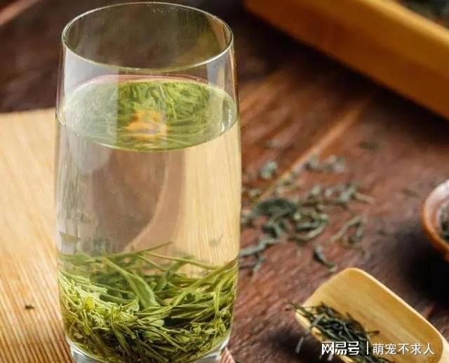 陕西富硒茶特点(陕西的茶叶)-硒宝网