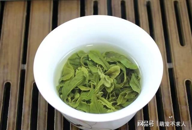 陕西富硒茶特点(陕西的茶叶)-硒宝网