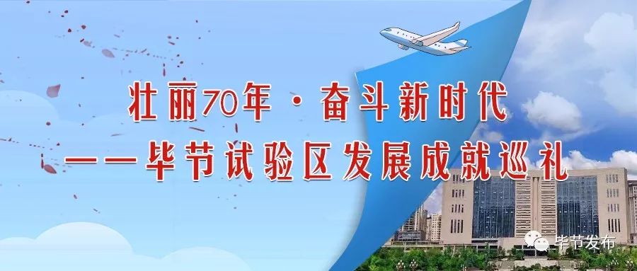 贵州毕节富硒茶(贵州富硒之乡)-硒宝网