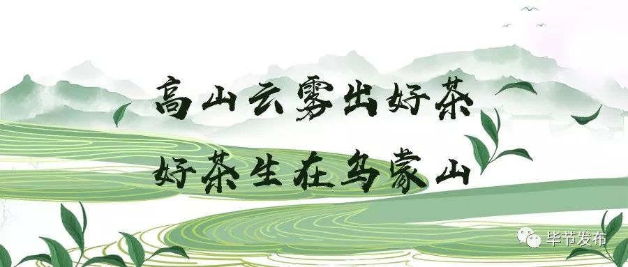 贵州毕节富硒茶(贵州富硒之乡)-硒宝网