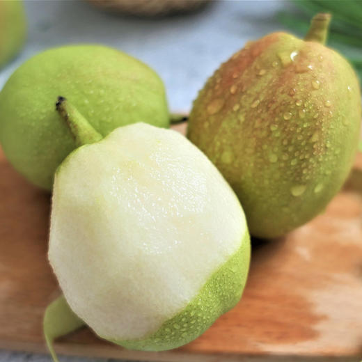 新疆富硒茶批发(富硒茶哪里有)-硒宝网