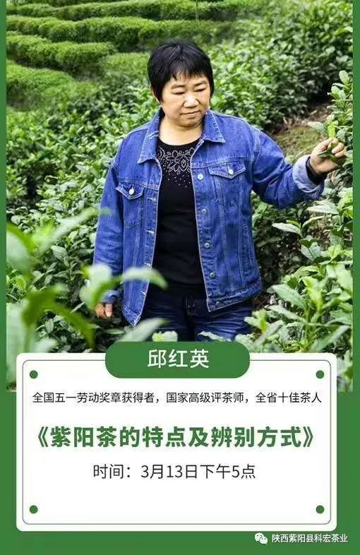 富硒茶冲泡颜色(冲泡茶颜色富硒好吗)-硒宝网