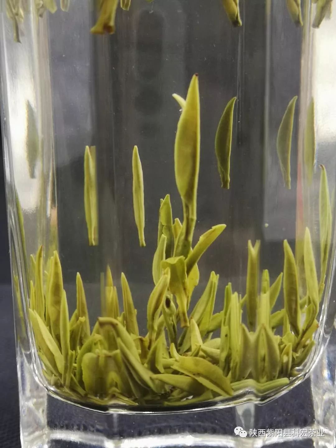 富硒茶冲泡颜色(冲泡茶颜色富硒好吗)-硒宝网