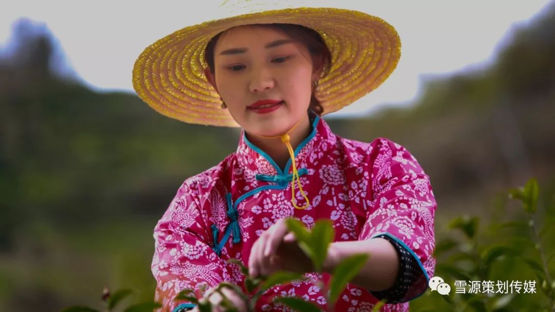 富硒茶线上销售(富硒茶营销策划方案)-硒宝网