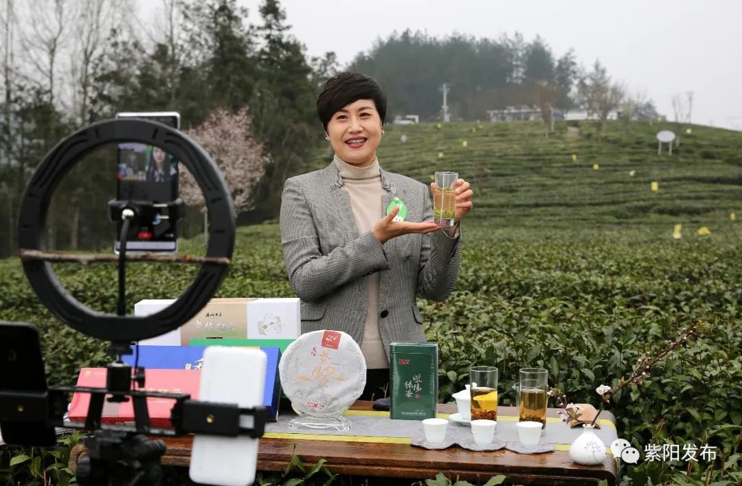 富硒茶线上销售(富硒茶营销策划方案)-硒宝网