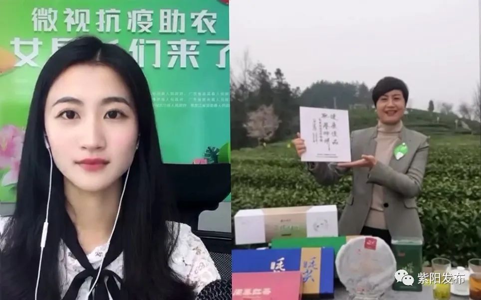 富硒茶线上销售(富硒茶营销策划方案)-硒宝网