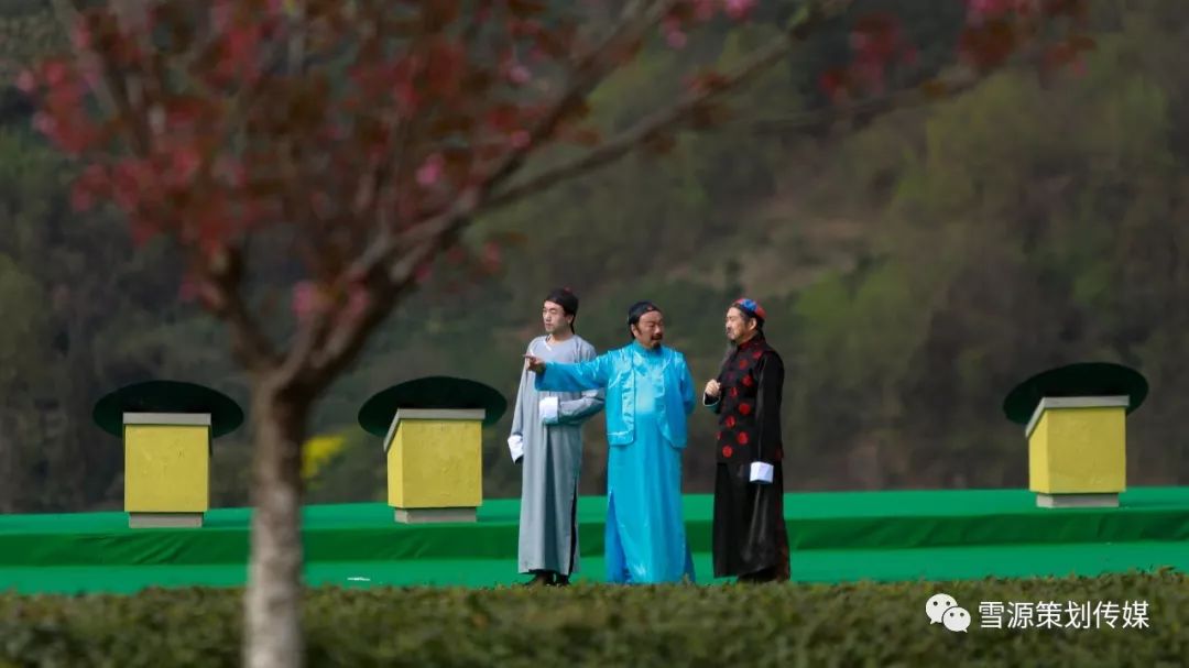 富硒茶线上销售(富硒茶营销策划方案)-硒宝网