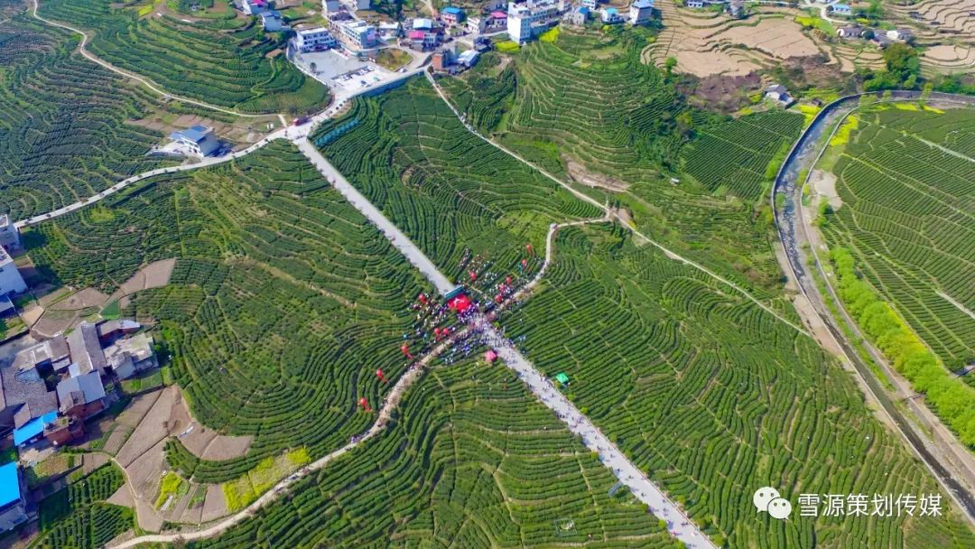 富硒茶线上销售(富硒茶营销策划方案)-硒宝网