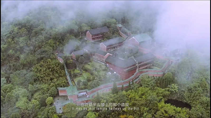 紫阳富硒茶本心(紫阳富硒茶绿茶的功效与作用)-硒宝网