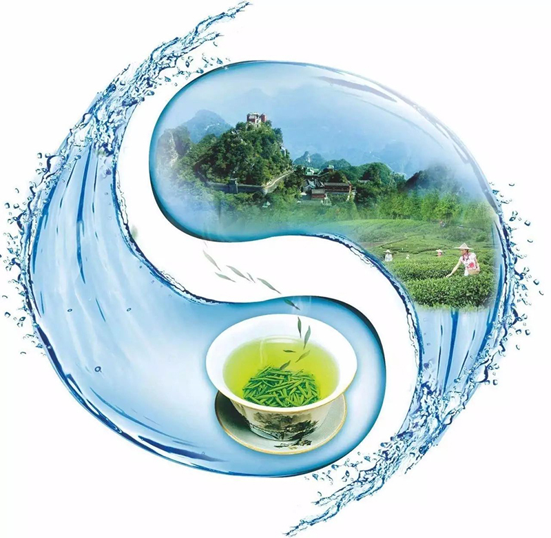 紫阳富硒茶本心(紫阳富硒茶绿茶的功效与作用)-硒宝网