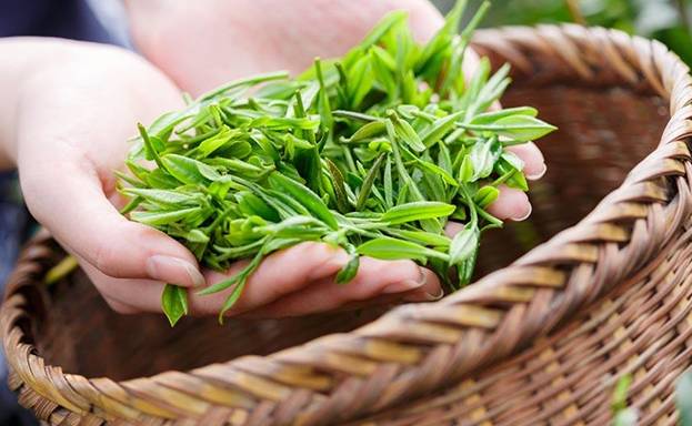 富硒茶冲泡颜色（冲泡茶颜色富硒含量）-硒宝网