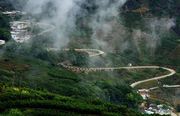 富硒茶冲泡颜色（冲泡茶颜色富硒含量）-硒宝网