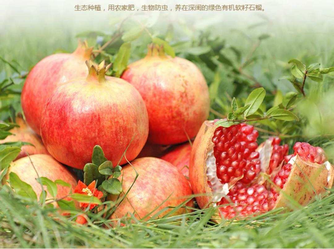 陕西富硒茶啤酒（富硒茶啤酒多少钱一箱）-硒宝网