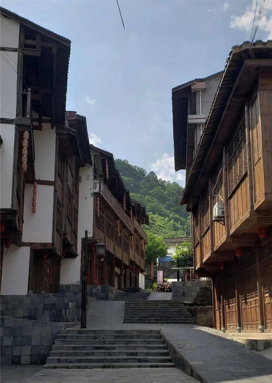 紫阳富硒茶本心（紫阳茶富硒饮品价格）-硒宝网