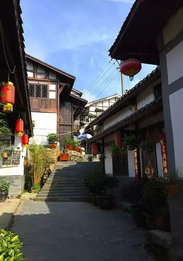 紫阳富硒茶本心（紫阳茶富硒饮品价格）-硒宝网