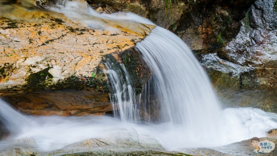 安徽滁州富硒茶(安徽富硒茶的功效与作用)-硒宝网