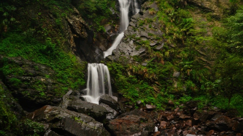 安徽滁州富硒茶(安徽富硒茶的功效与作用)-硒宝网