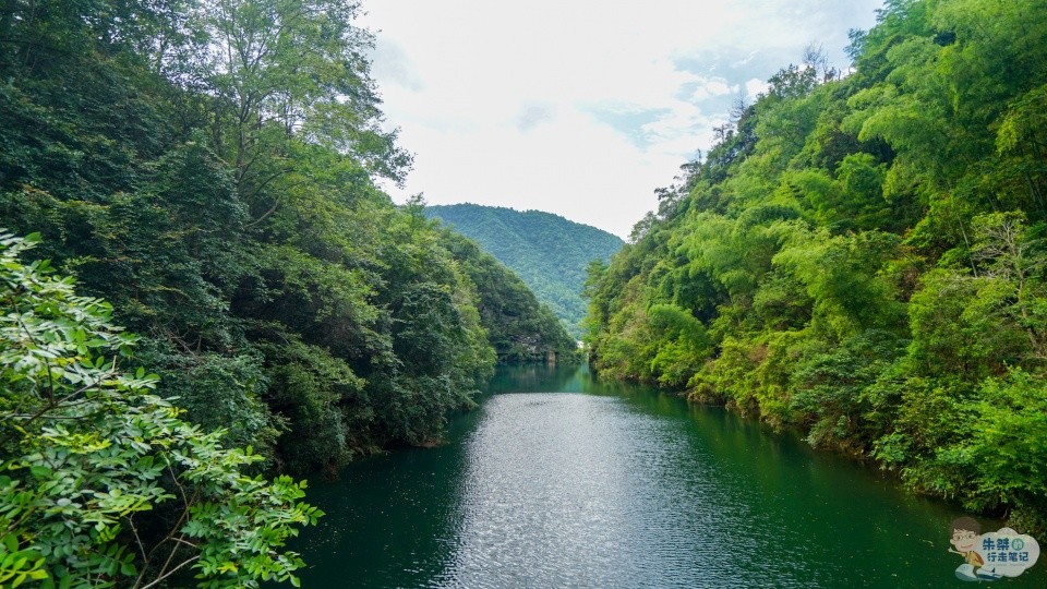 安徽滁州富硒茶(安徽富硒茶的功效与作用)-硒宝网