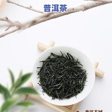 普洱富硒茶价格（茶普洱价格富硒多少）-硒宝网