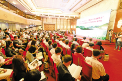 富硒茶品牌策划（策划茶富硒品牌怎么写）-硒宝网