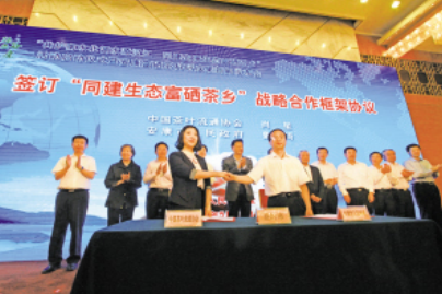 富硒茶品牌策划（策划茶富硒品牌怎么写）-硒宝网