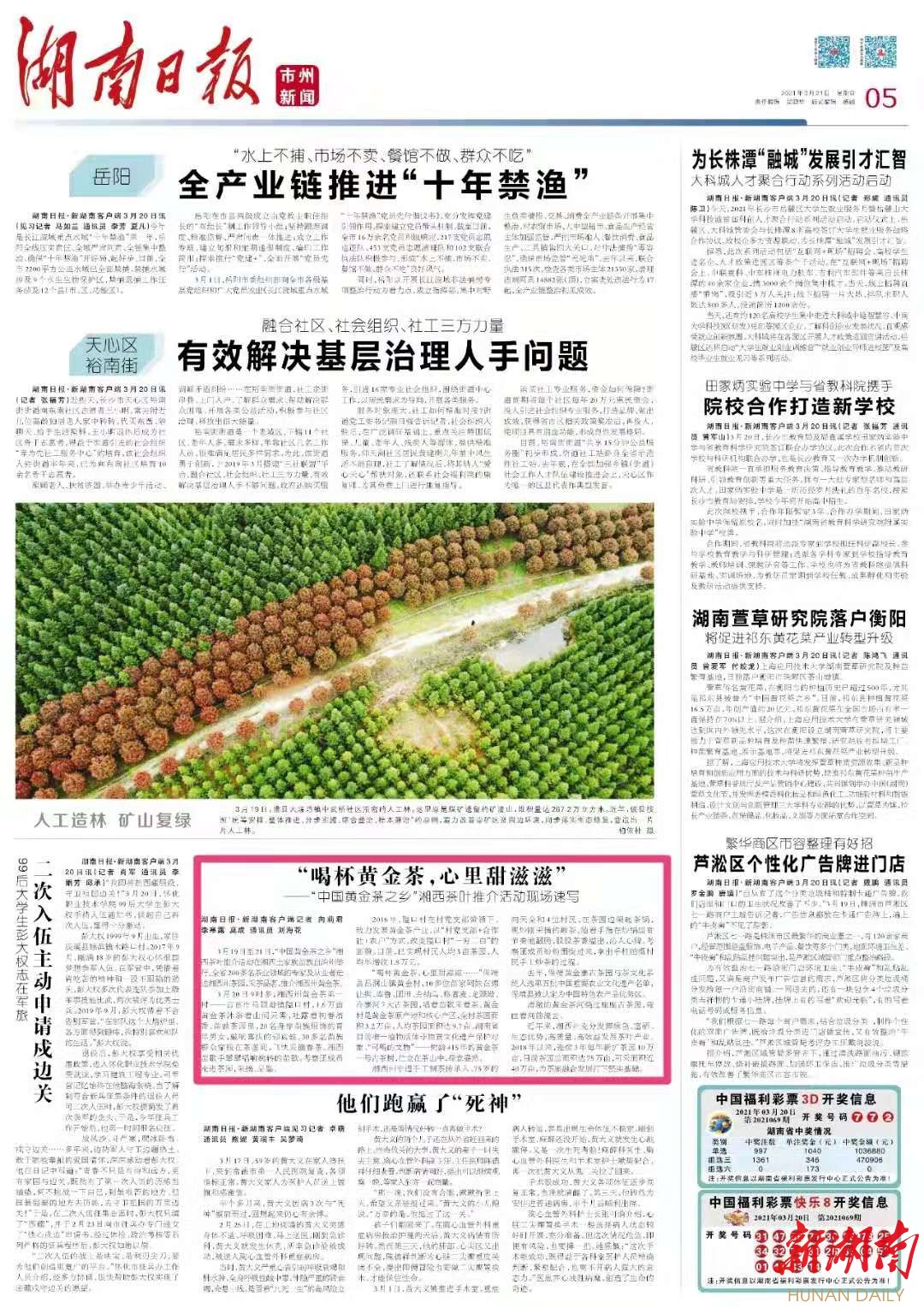 保靖黄金富硒茶（保靖黄金富硒黑茶）-硒宝网