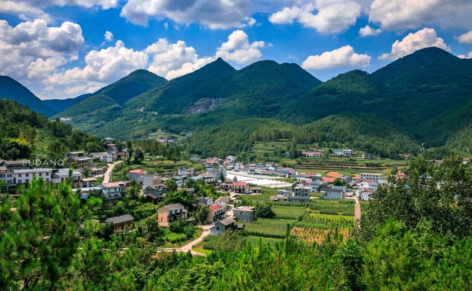 恩施富硒茶标语(恩施富硒茶广告语)-硒宝网