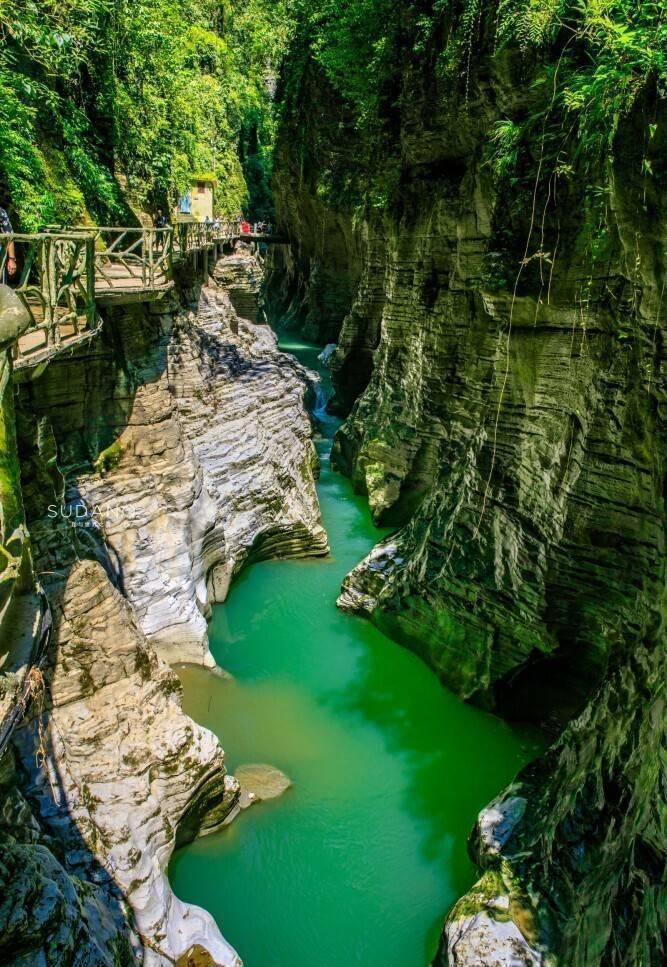 恩施富硒茶标语(恩施富硒茶广告语)-硒宝网