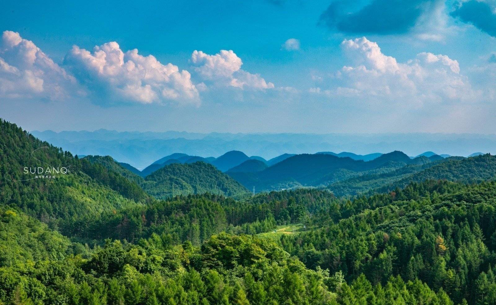 恩施富硒茶标语(恩施富硒茶广告语)-硒宝网