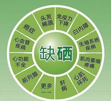 恩施富硒茶标语(恩施富硒茶广告语)-硒宝网